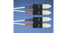 Panduit-FXD33M1Y.jpg